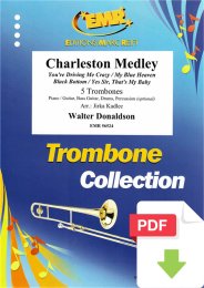 Charleston Medley - Walter Donaldson - Jirka Kadlec