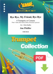 Bye Bye, My Friend, Bye Bye - Jan Pfeiffer - Jirka Kadlec