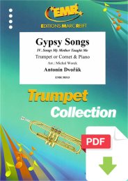 Gypsy Songs - Antonin Dvorak - Michal Worek