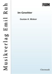 Im Gewitter - Gustav A. Walser