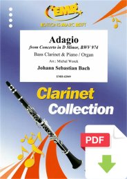 Adagio - Johann Sebastian Bach - Michal Worek