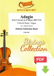 Adagio - Johann Sebastian Bach - Michal Worek