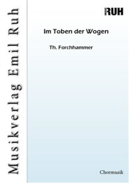 Im Toben der Wogen - Th. Forchhammer