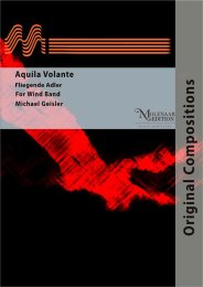 Aquila Volante - Fliegender Adler - Michael Geisler