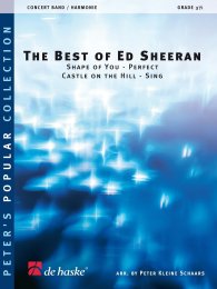 The Best of Ed Sheeran - Shape of You - Perfect - Castle...